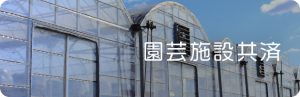 園芸施設共済