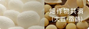 畑作物共済（大豆・蚕繭）