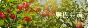 果樹共済