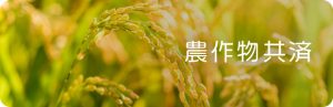 農作物共済