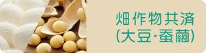 畑作物共済（大豆・蚕繭）