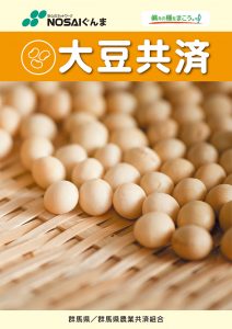 畑作物（大豆）共済